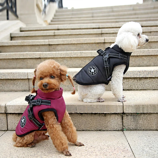 Waterproof Warm Dog Jacket
