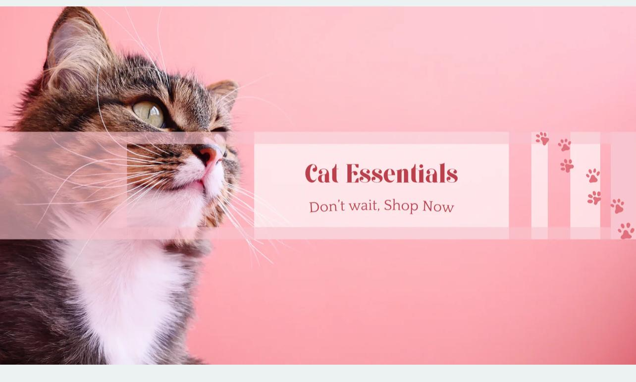 Cat Essentials