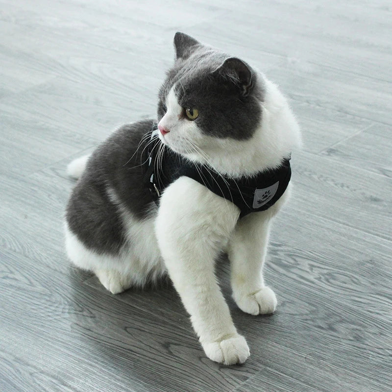 Small Medium Dogs Cat Harnesses