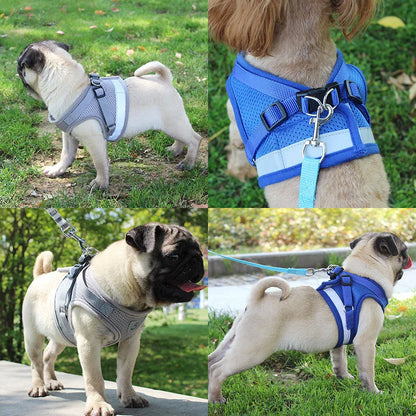 Small Medium Dogs Cat Harnesses