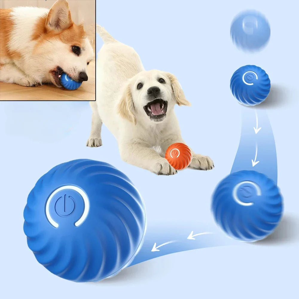 dog automatic ball