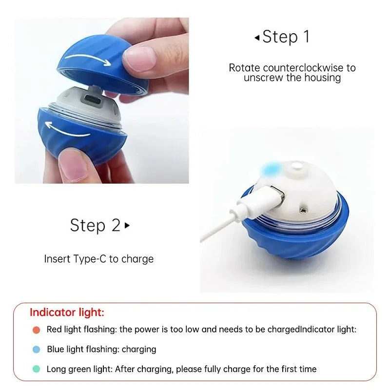 dog automatic ball