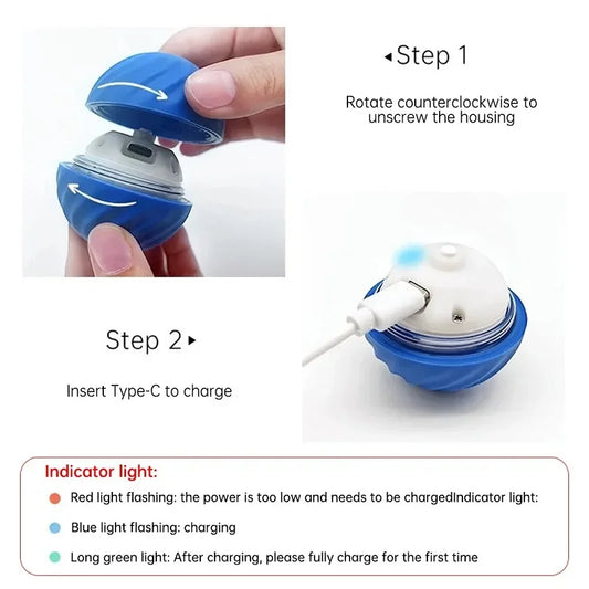 dog automatic ball