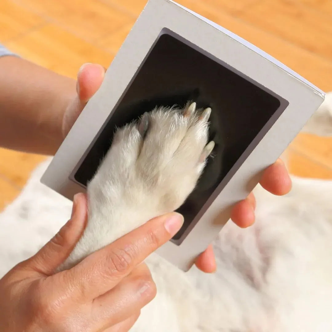 Paw Print kit