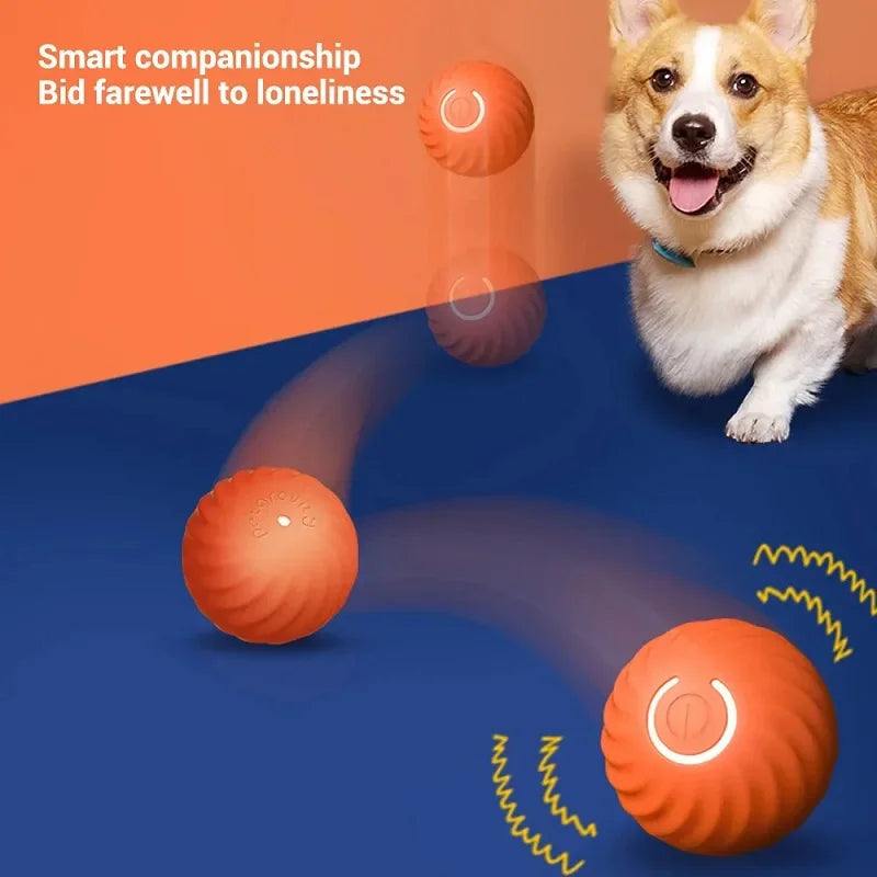 dog automatic ball