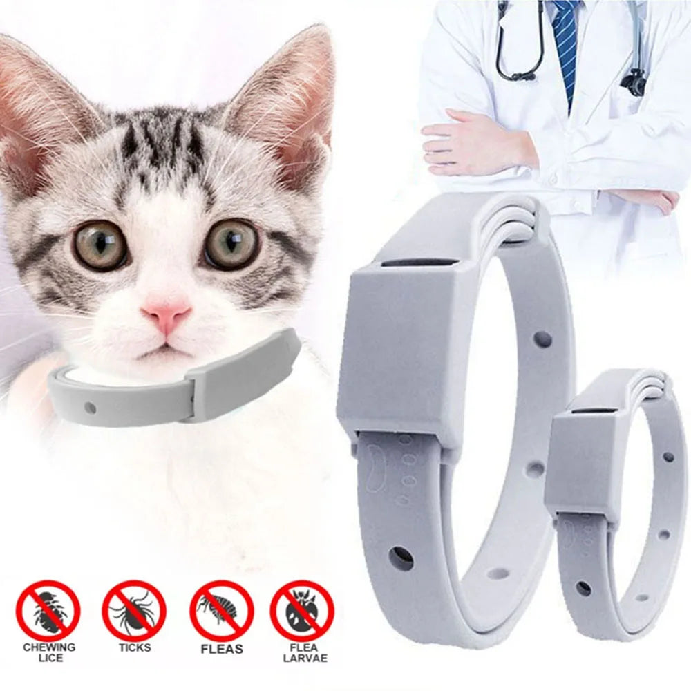 Anti Flea Tick Collar For Cat Small Dog